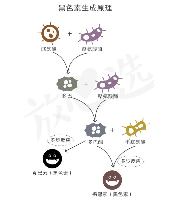 pola美白丸的危害,pola美白丸明星产品