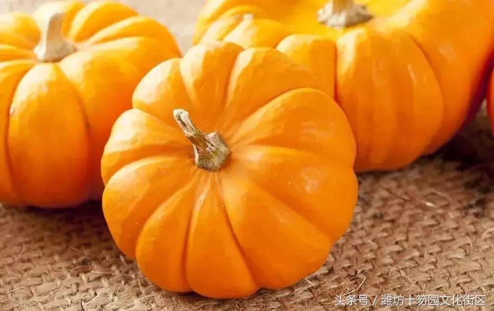 山东潍坊：“第一书记”国庆期间将为优质农产品代言！