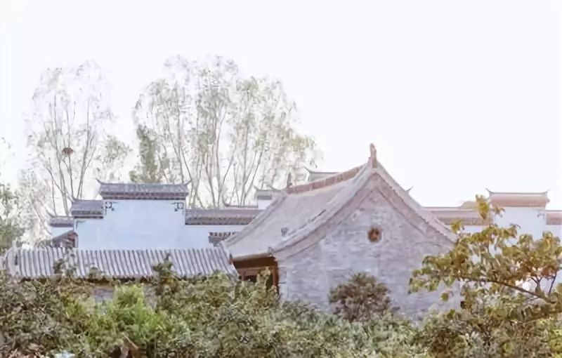 郑州又好玩又免费的景点,郑州新网红景点