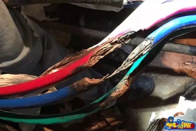 电表箱着火正确的灭火方式,电表箱失火怎么救