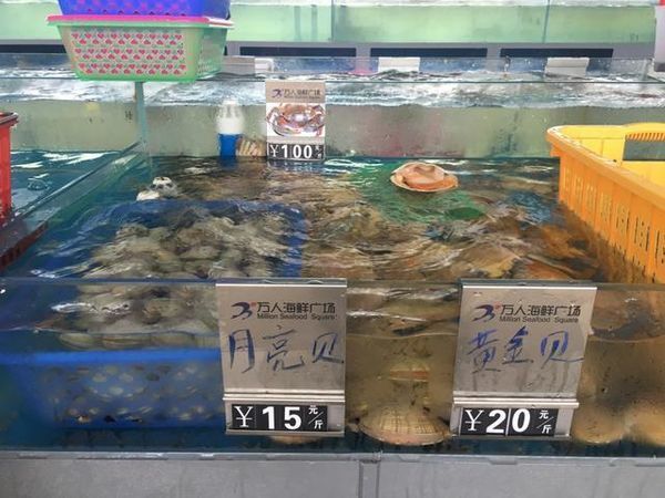 海口特色美食游玩攻略,玩转海口经典美景加美食攻略