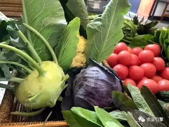 冷清的农家院被设计师折腾坏了成了京城第一精致生态农场