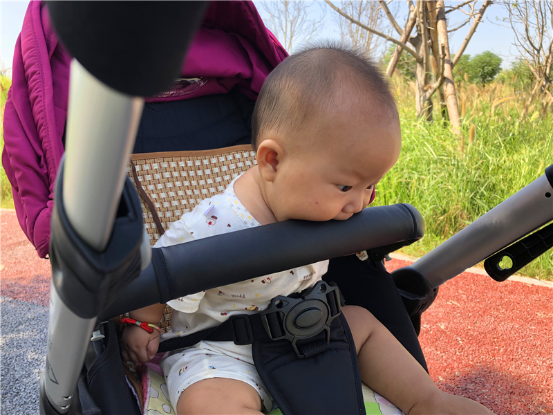 轻便高景观婴儿推车最强测评,高景观轻便双向婴儿推车推荐