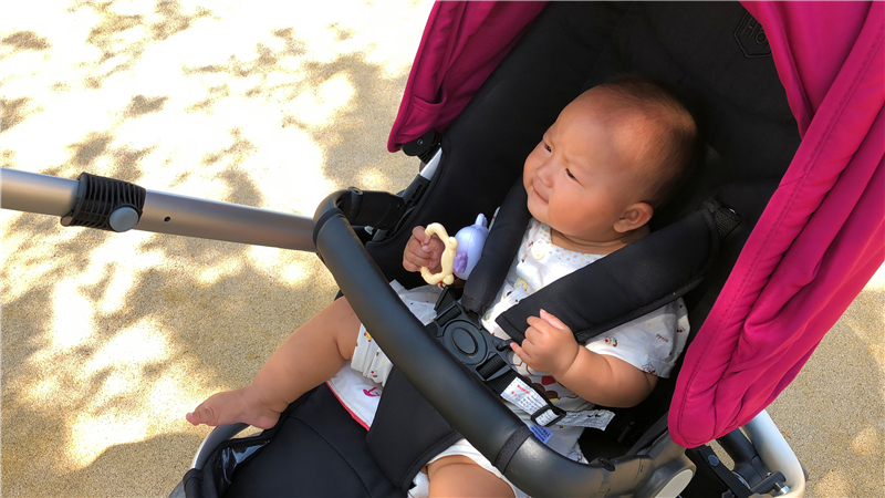 轻便高景观婴儿推车最强测评,高景观轻便双向婴儿推车推荐