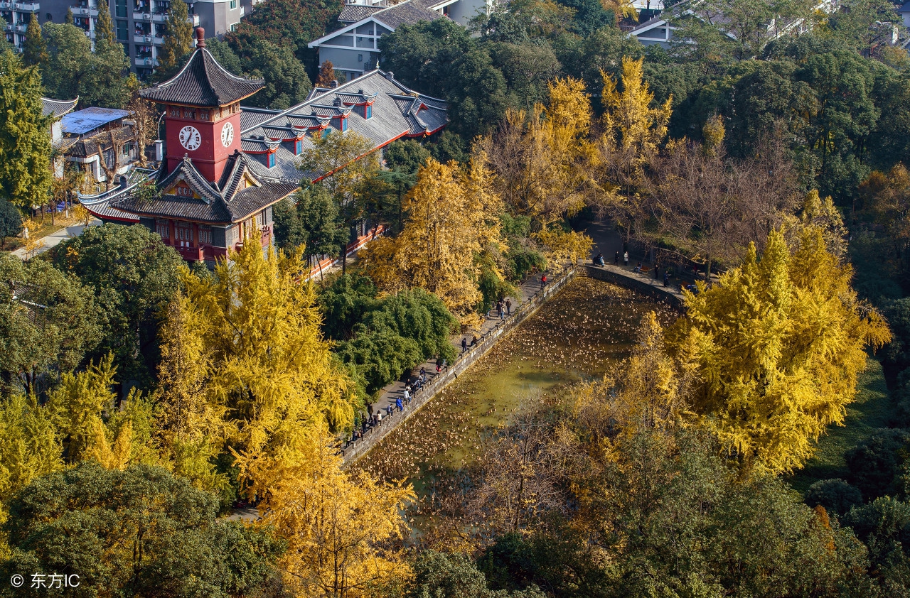 大学宿舍生活日常vlog,女大学生大学宿舍生活vlog