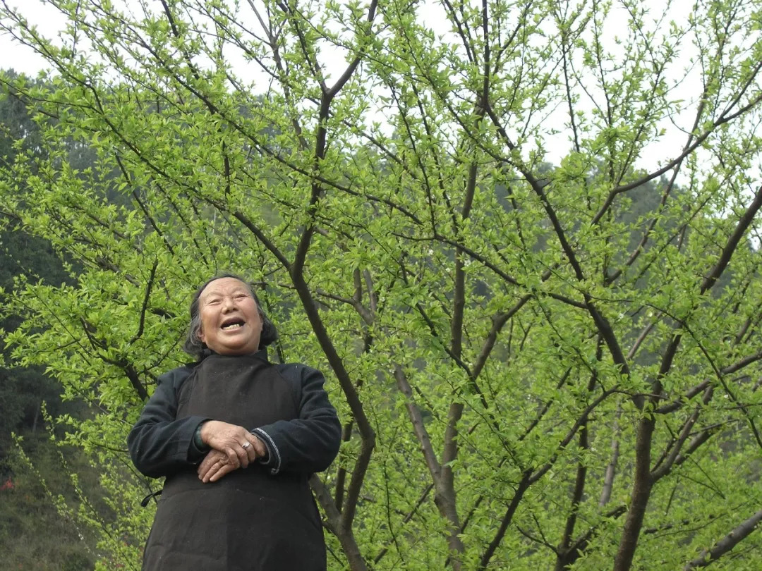 老祖宗给我们留下了哪些瑰宝,让更多人了解老祖宗留下的宝贝