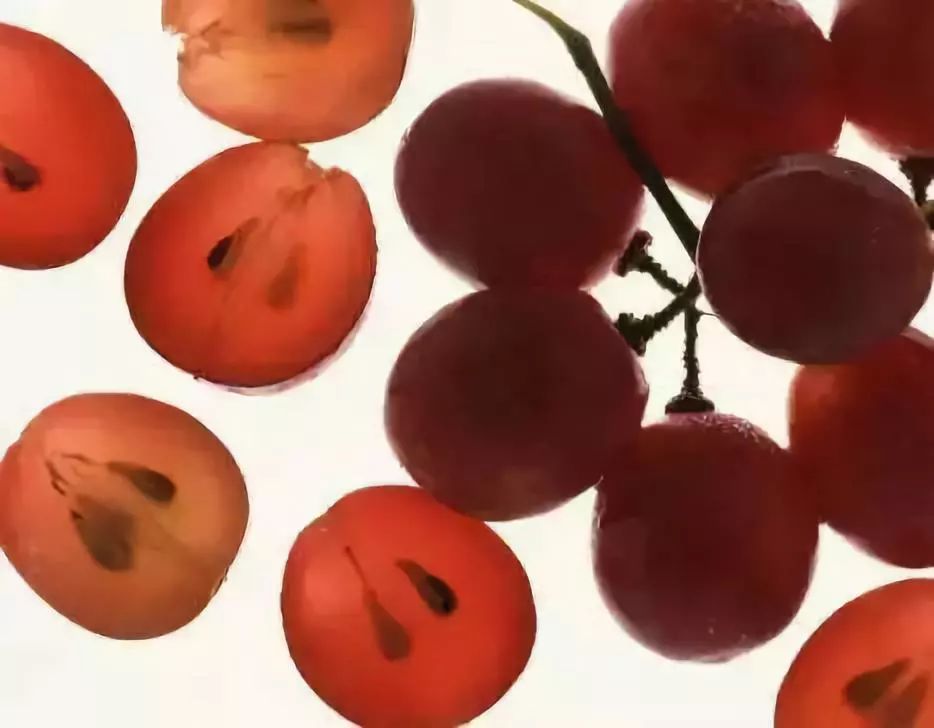 澳洲美白丸最佳吃法,澳洲玫瑰果美白丸