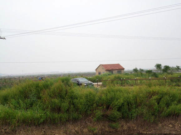 观赏鱼长得像鲶鱼是什么鱼,体型大只像鲶鱼一样的鱼