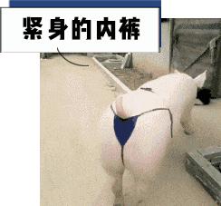 裸睡到底是穿内裤不,睡觉穿内裤好还是裸睡好