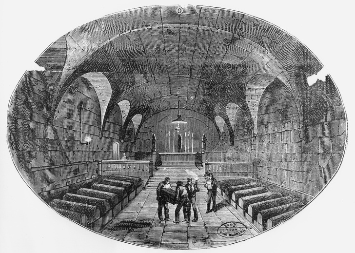 有哪些医学领域大家是不知道的,医学领域有哪些人类不知道的事实