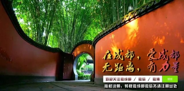 成都可以用驾驶证补办身份证吗,社保卡丢失了怎么补办成都