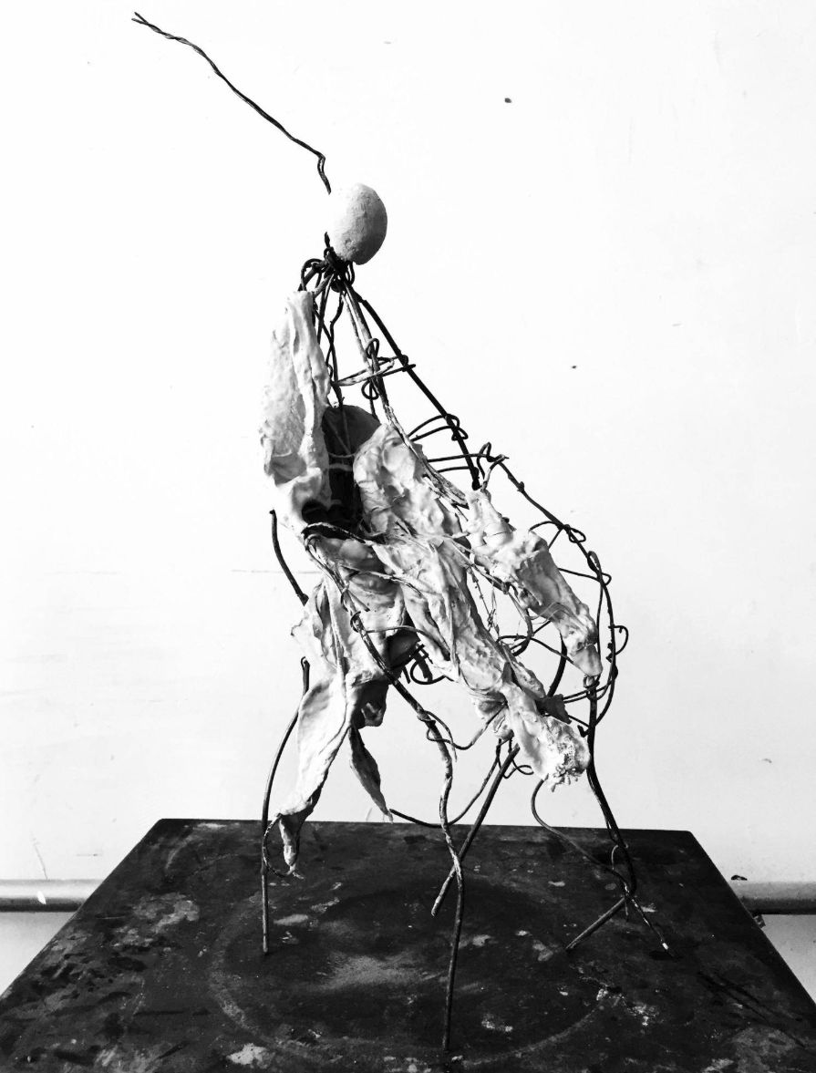 花好月圆N次方——第三届北京国际花植节绽放设计周郎园分会场