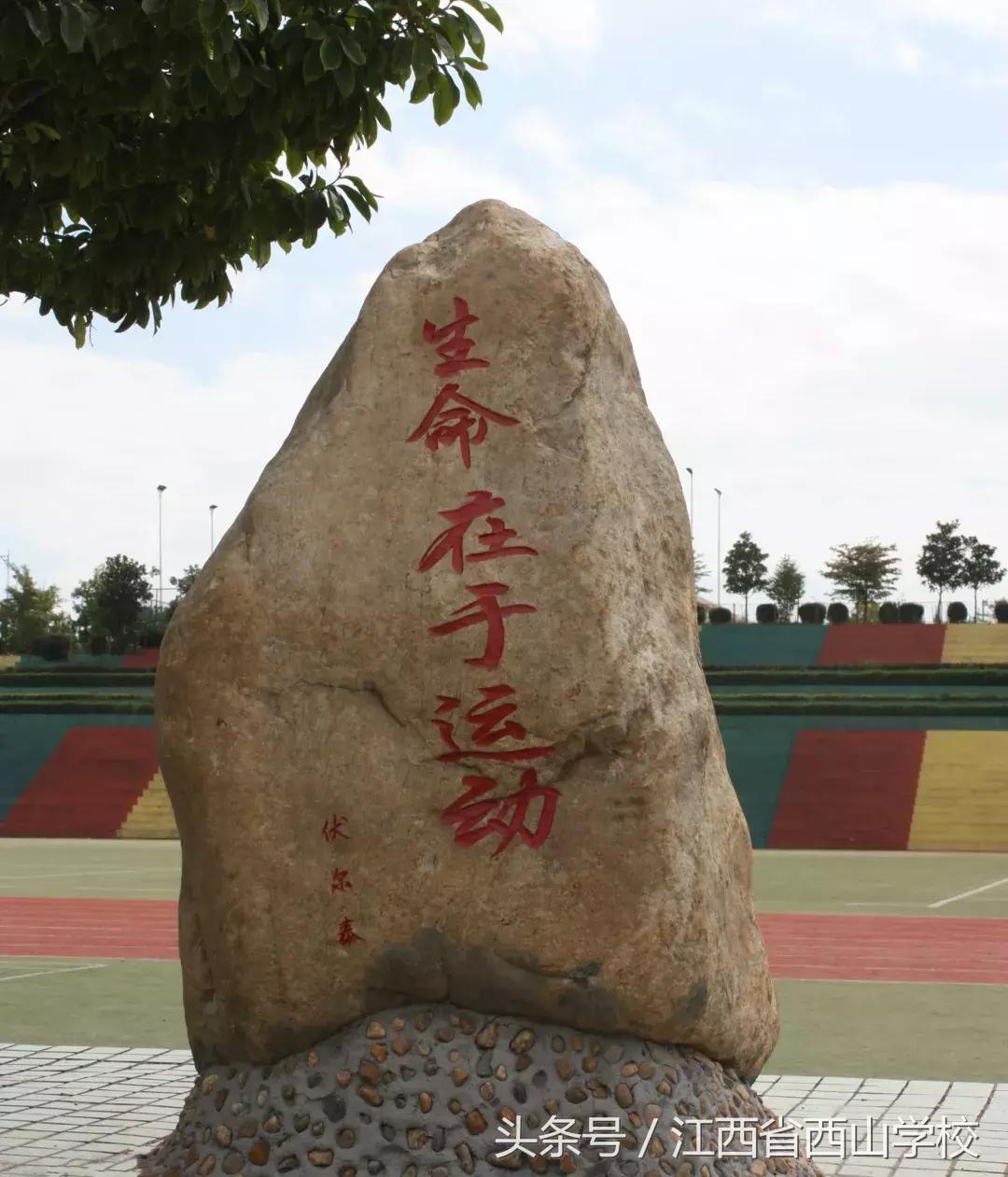 在昆明西山区读书好不好,西山学校到底如何