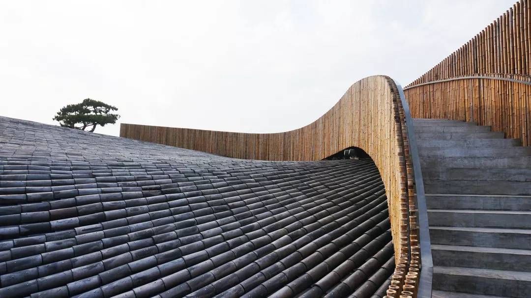 凤凰谷景区山顶风景,凤凰谷山顶艺术馆参观心得感悟