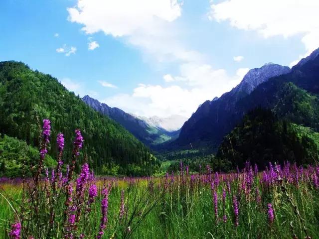 国庆去大连旅游攻略,国庆大连游玩攻略