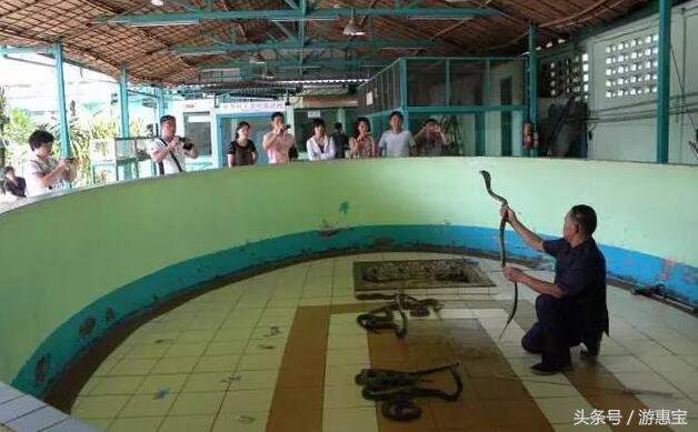 求你不要再被坑了！关于泰国跟团游中几个坑爹购物点~