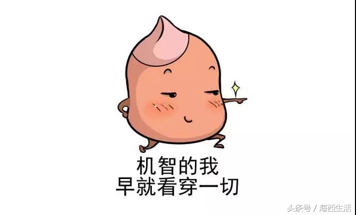 国庆嗨玩！厦门最潮动物园打卡新地标！解锁潮玩新姿势！