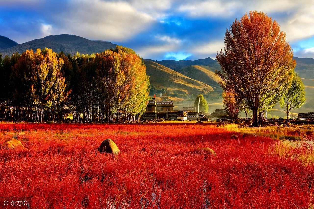 天净沙秋思元代马致远拼音,天净沙秋思元代马致远