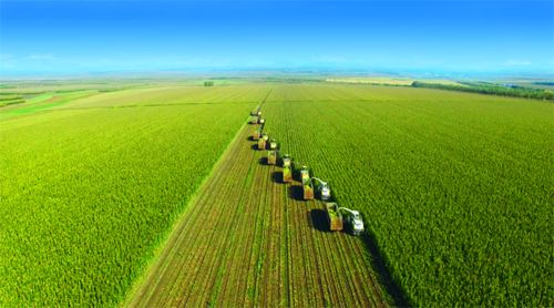 2019年中国奶业质量报告,中国奶业现状如何解决