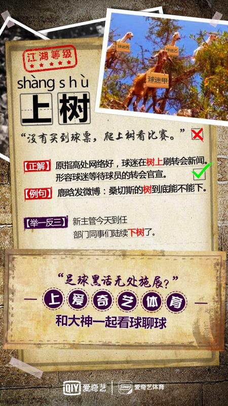 《英超黑话宝典》，测一测你的球迷等级都不知道的话，你就凉了