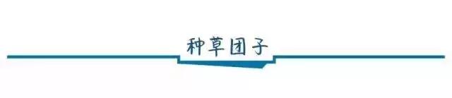 吃不胖的经典零食,给你推荐一个低脂零卡的零食