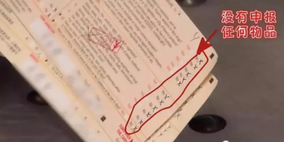 中国大妈出国探望儿子，行李箱被打开的那一刻，所有人都惊呆了！