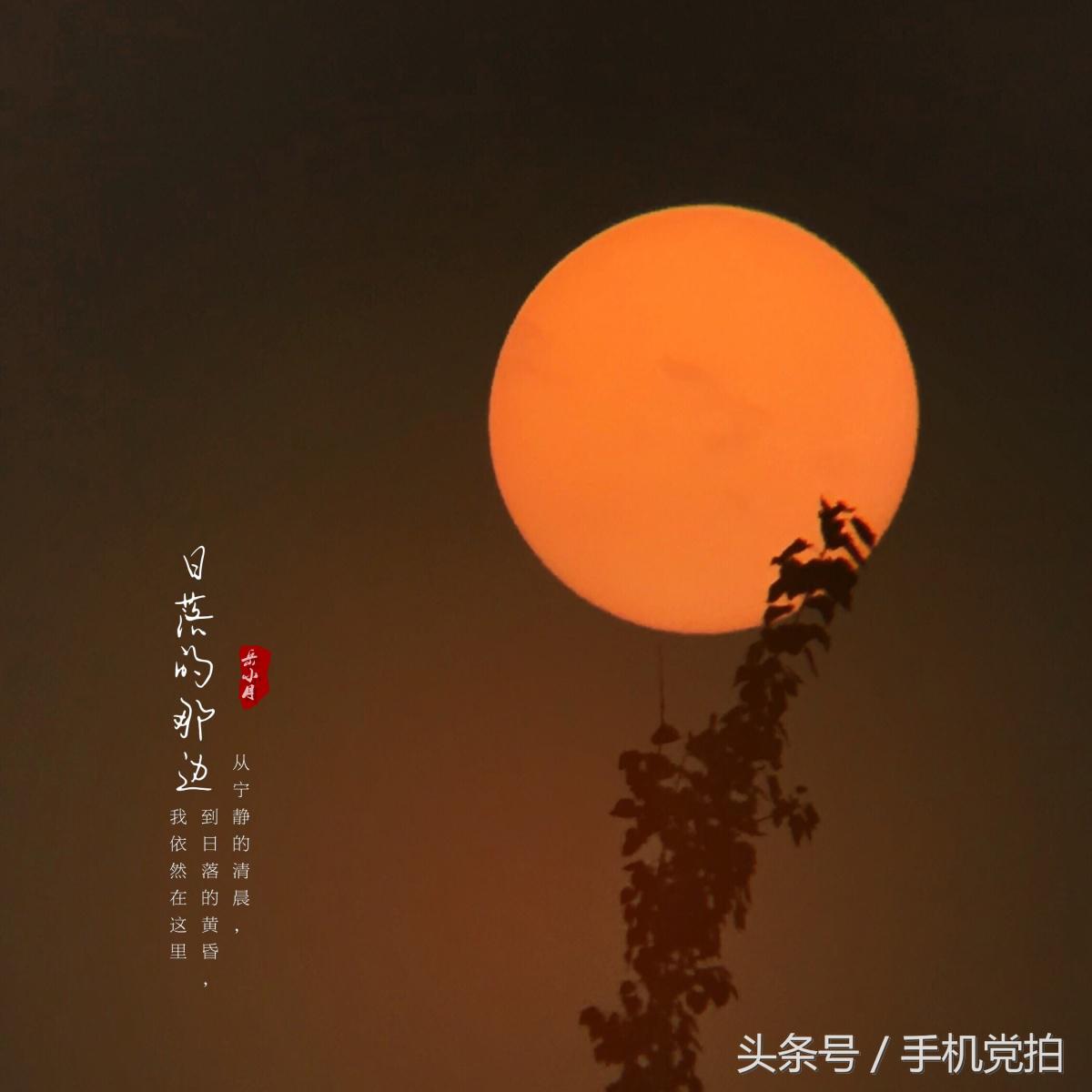 如何判断“日落还是日出”的画面?教你3招巧识别!