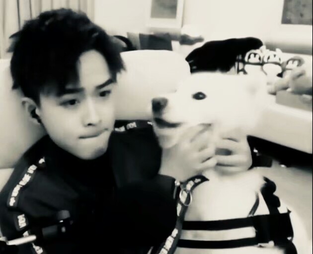 王者荣耀盘点主播各大战队,王者荣耀各大主播最新比赛