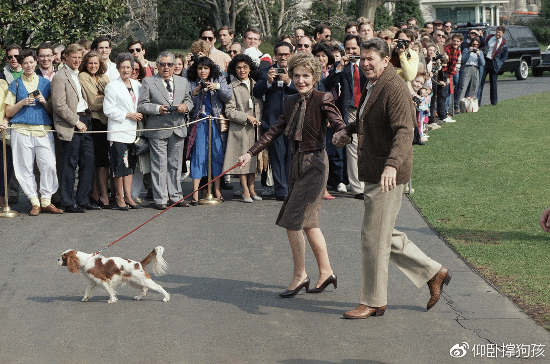 历史上三位总统没有养宠物,美国历史上46个总统