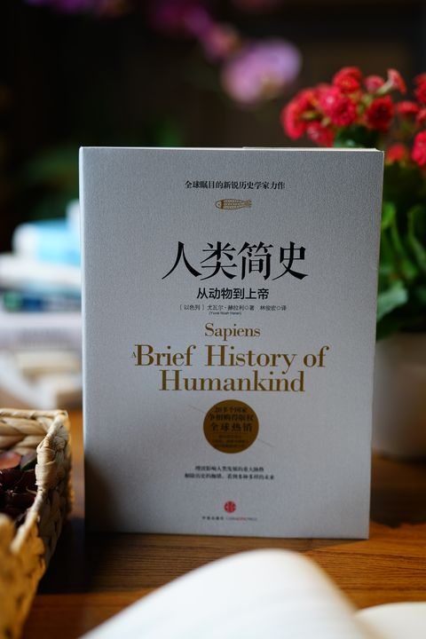 有关人类社会发展史的书籍,人类社会进化书