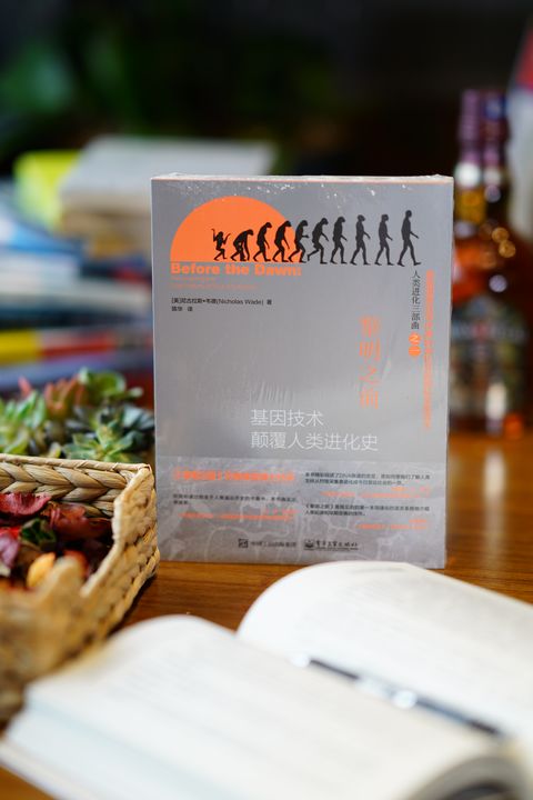 有关人类社会发展史的书籍,人类社会进化书