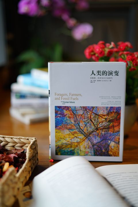 有关人类社会发展史的书籍,人类社会进化书