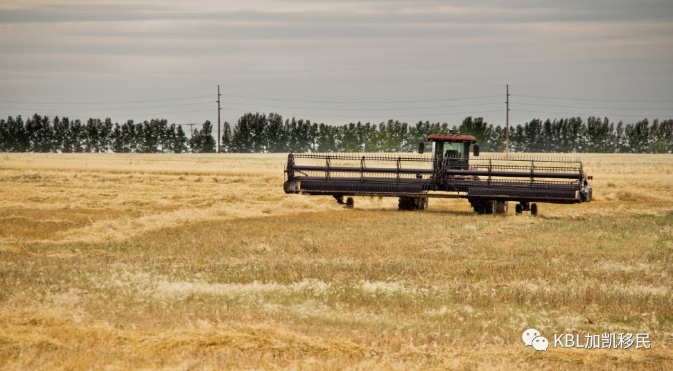 加拿大萨省的城市,萨省是加拿大最落后的地方吗