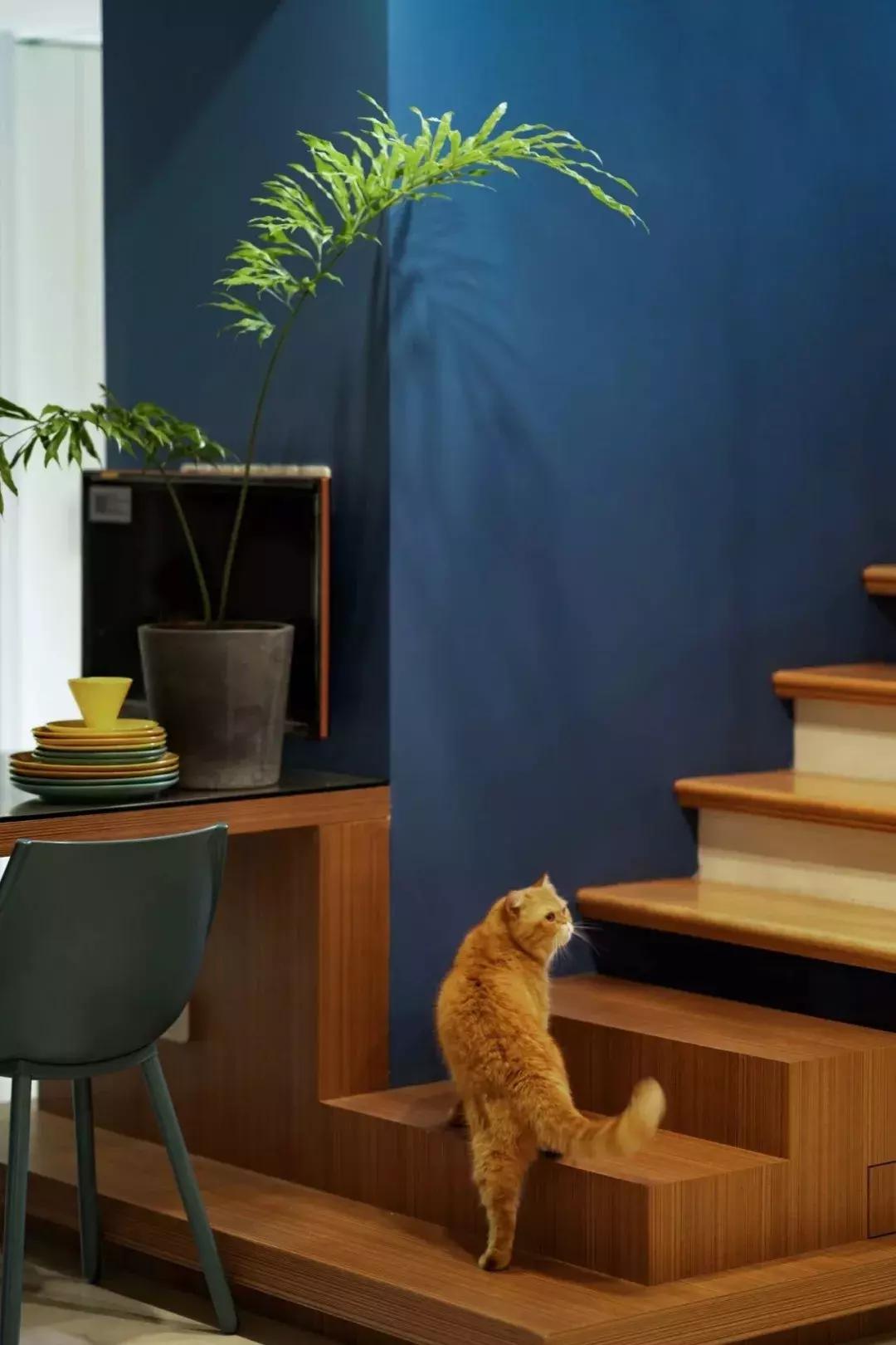 小满优选｜拥有两只喵的铲屎官，找人把110m²三室设计成这样！