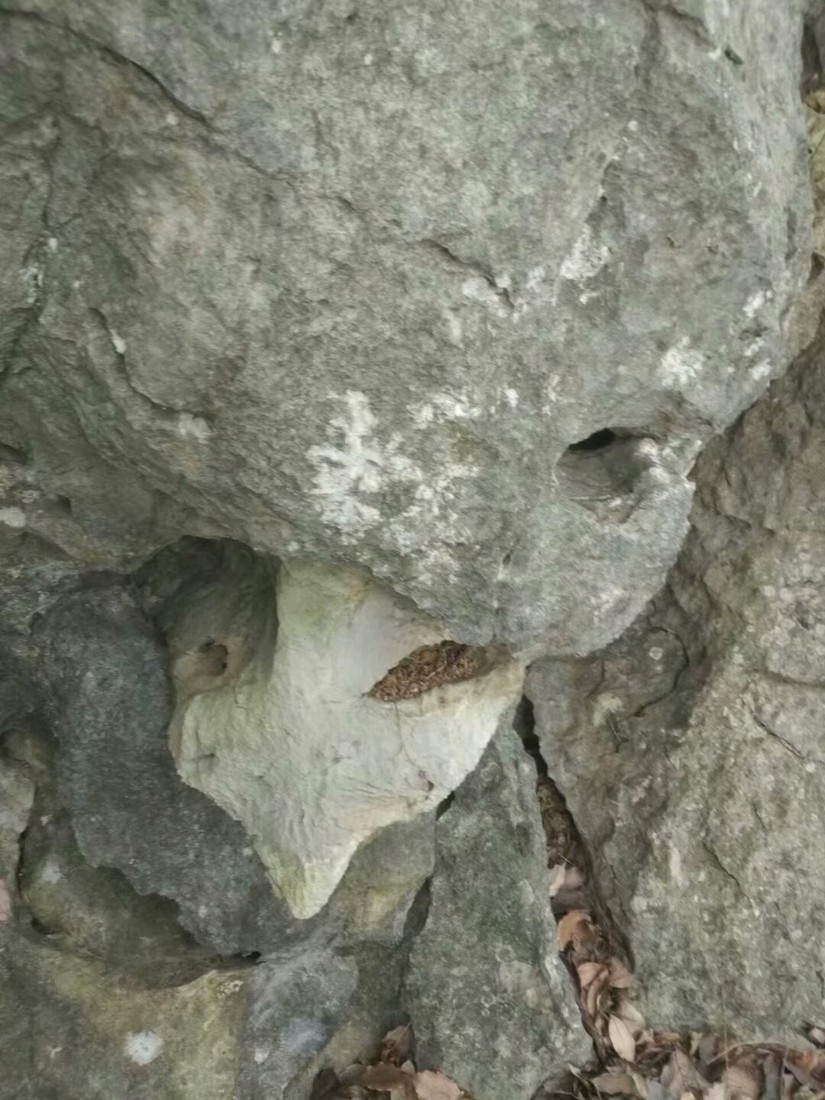 黄石免费户外游,黄石周边游徒步登山