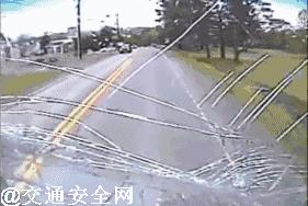 高速上遇到动物了正确处理方法,救命贴