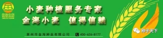 小麦基因组数据库更新,小麦基因组现状与展望