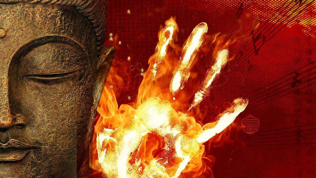 股票量化投资新手入门教程,新手怎样投资股票视频讲解