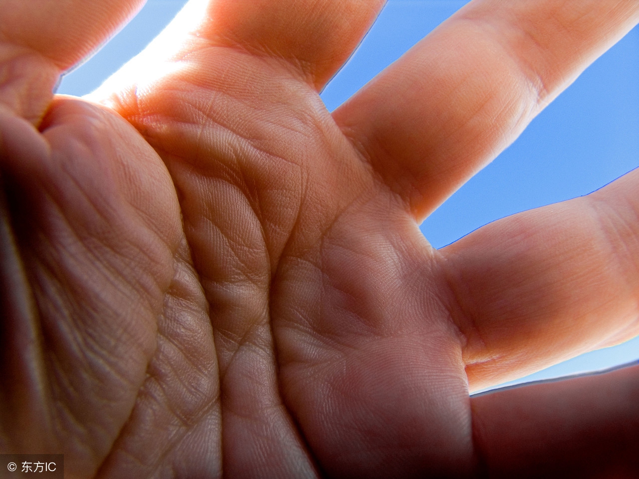 预示少年运势好的手相,什么样的手相有读书运