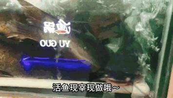 淮北相山鱼火锅哪家好吃,淮北哪家店的火锅最好吃