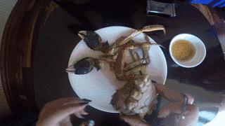 大闸蟹基础知识,大闸蟹科普知识