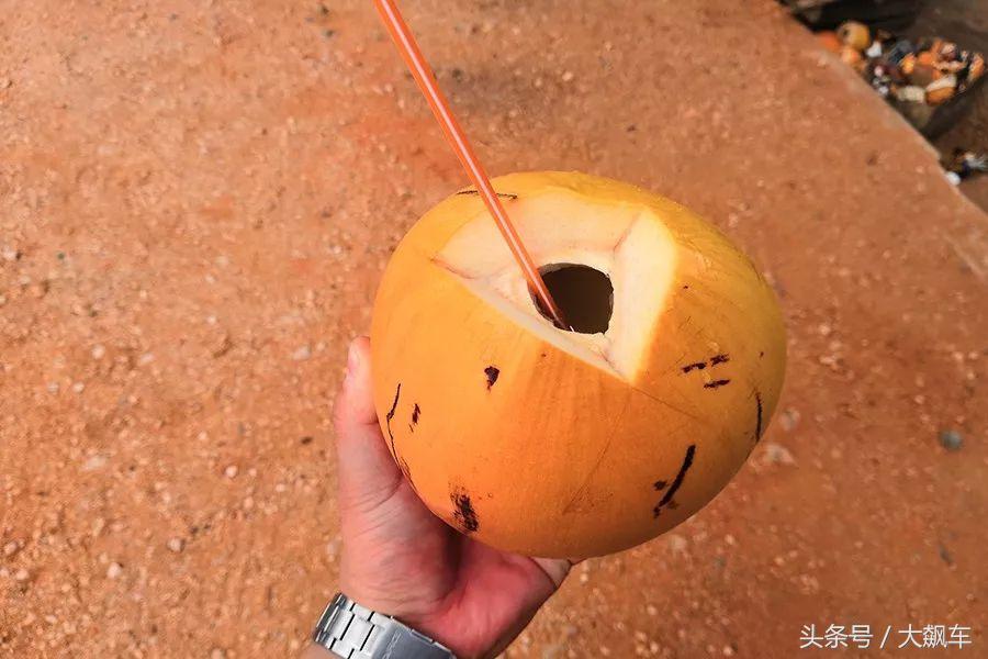 开学“B计划”之，印象斯里兰卡（一）！