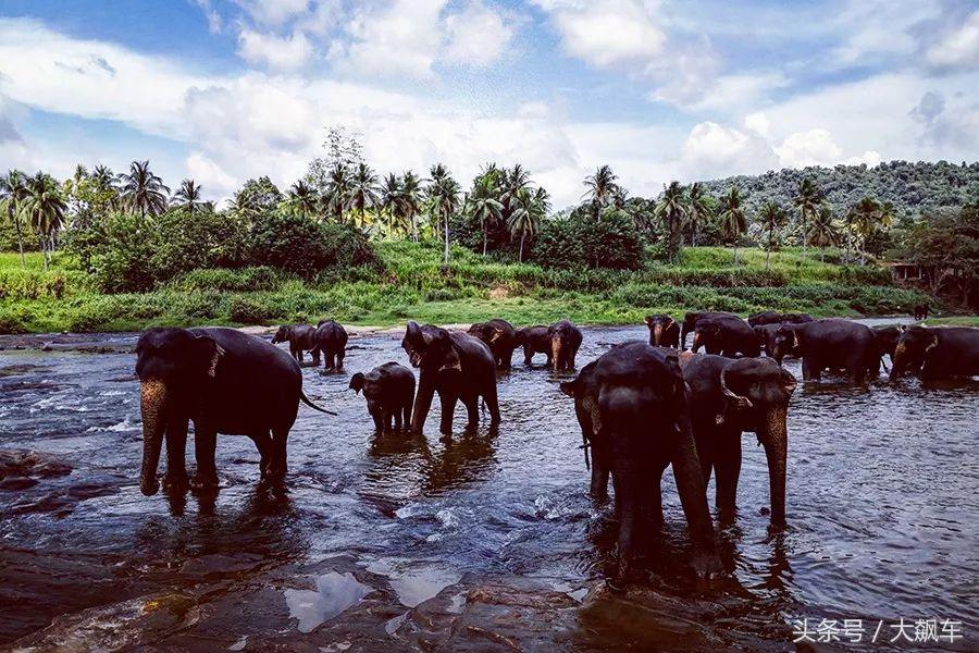 开学“B计划”之，印象斯里兰卡（一）！