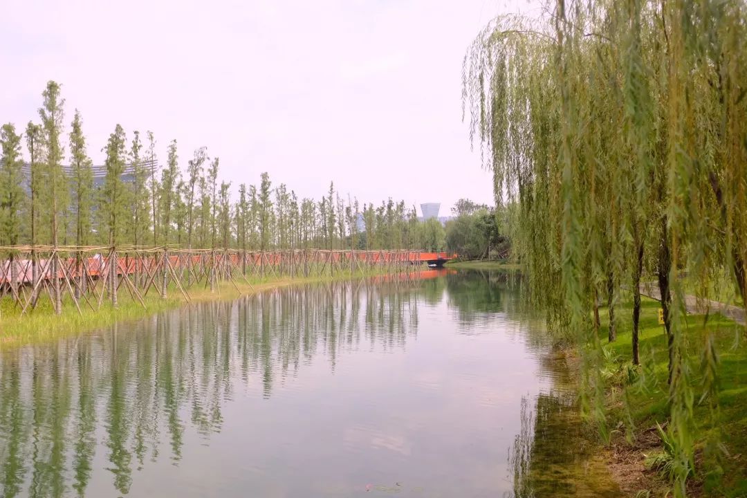 绿·道——天府绿道采风写生作品展巡展亮相锦城湖，小朋友们写生忙