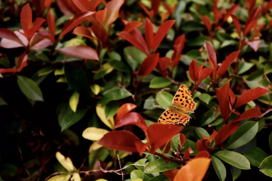 绿·道——天府绿道采风写生作品展巡展亮相锦城湖，小朋友们写生忙