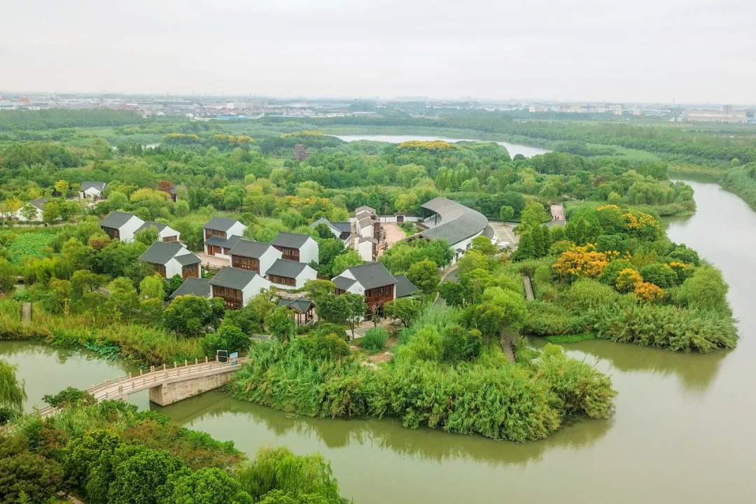 阳澄湖旅游吃大闸蟹民宿,沙家浜景区芦花湾住宿
