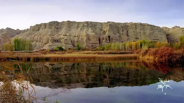 *疆新**，你除了牛羊还有什么？