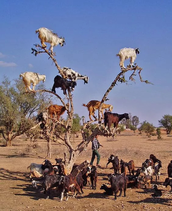 珍藏珍贵图片,极其罕见珍贵的绝版照片