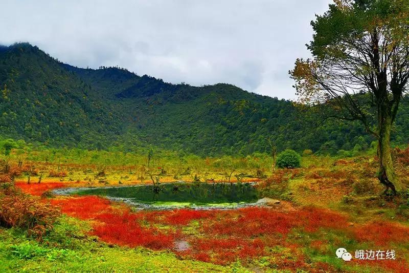 国庆节黑山谷一日游攻略,国庆旅游攻略贵州