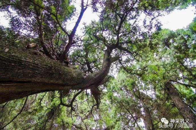 史话河洛,史话巩义